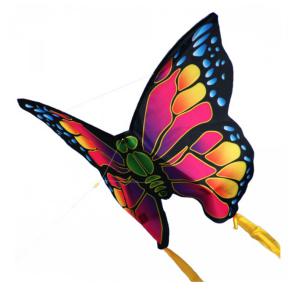 Fabien Schmitt - Vente cerfs volants Saint Antonin Noble Val